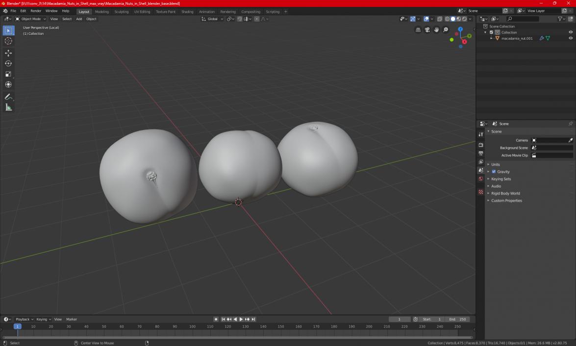 3D Macadamia Nuts in Shell model