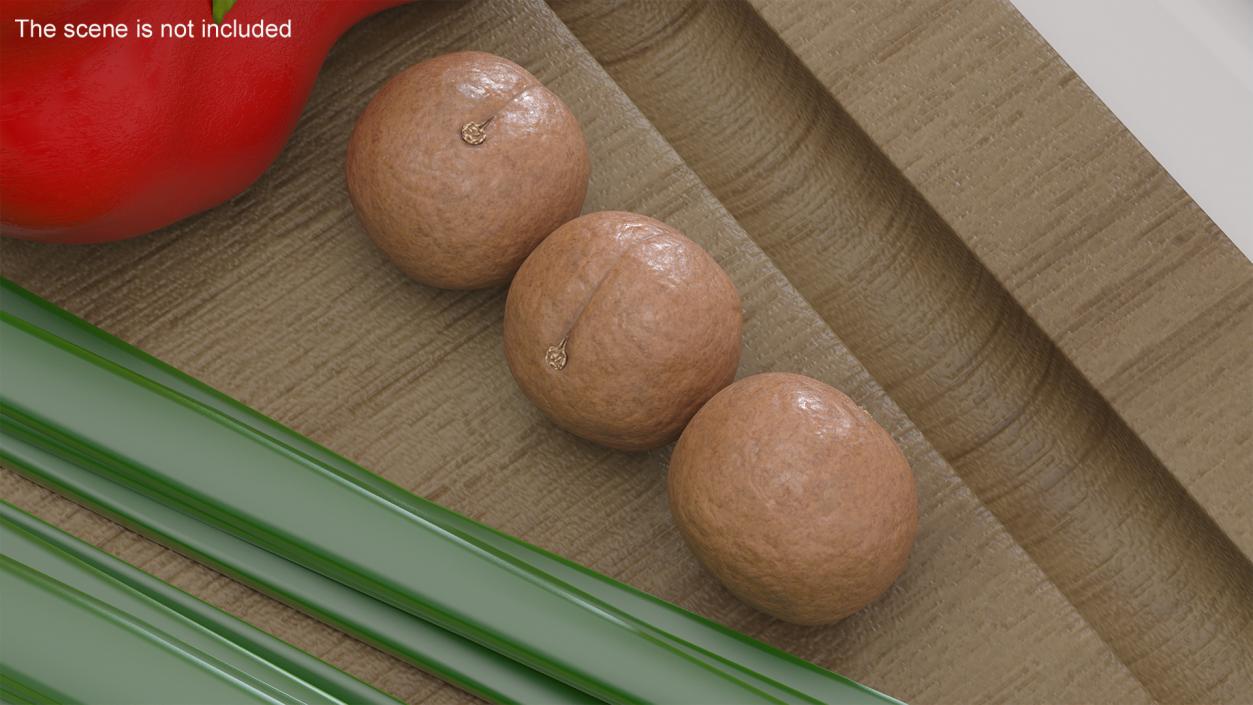 3D Macadamia Nuts in Shell model