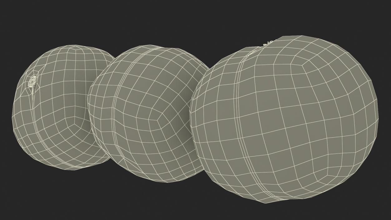 3D Macadamia Nuts in Shell model