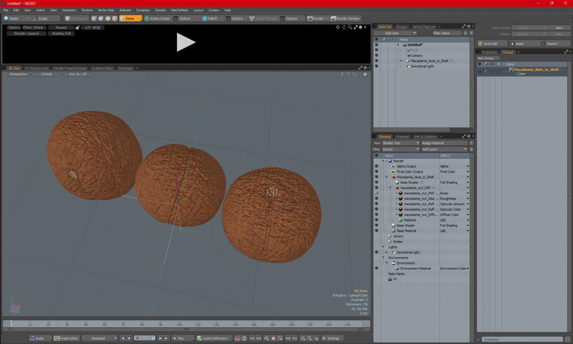 3D Macadamia Nuts in Shell model