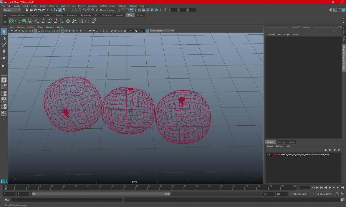 3D Macadamia Nuts in Shell model