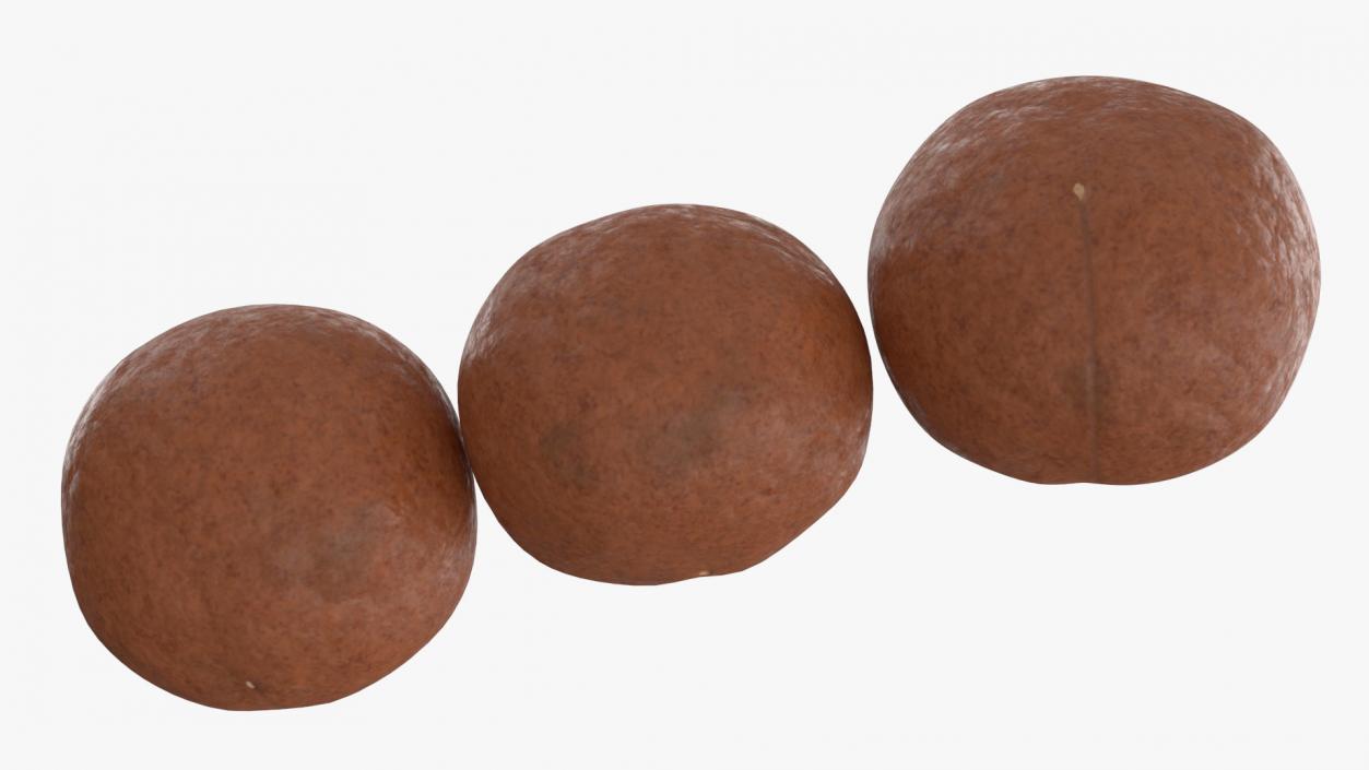 3D Macadamia Nuts in Shell model