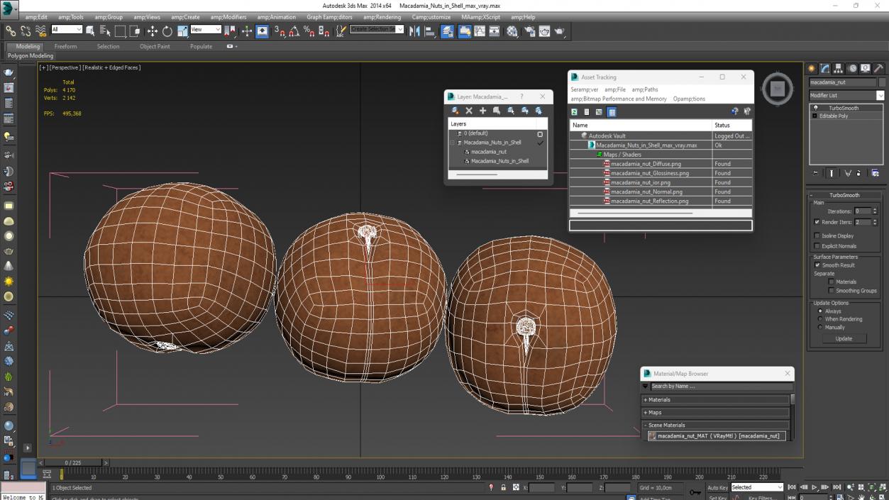 3D Macadamia Nuts in Shell model