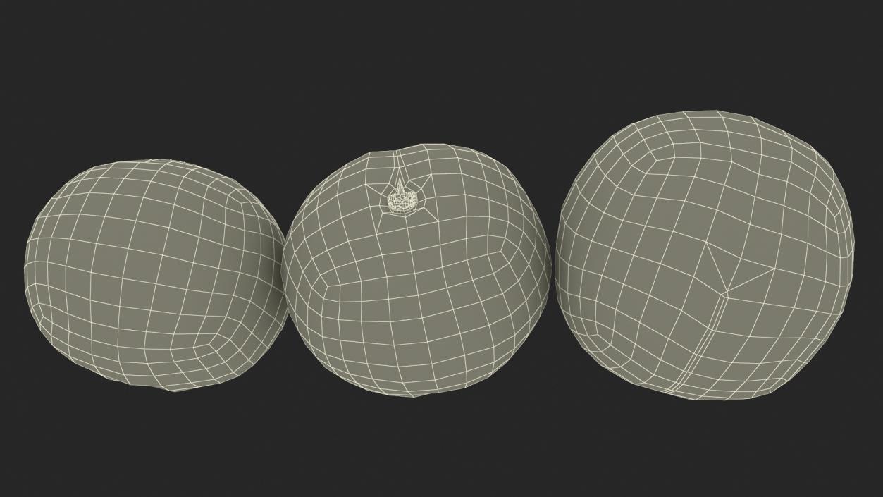 3D Macadamia Nuts in Shell model