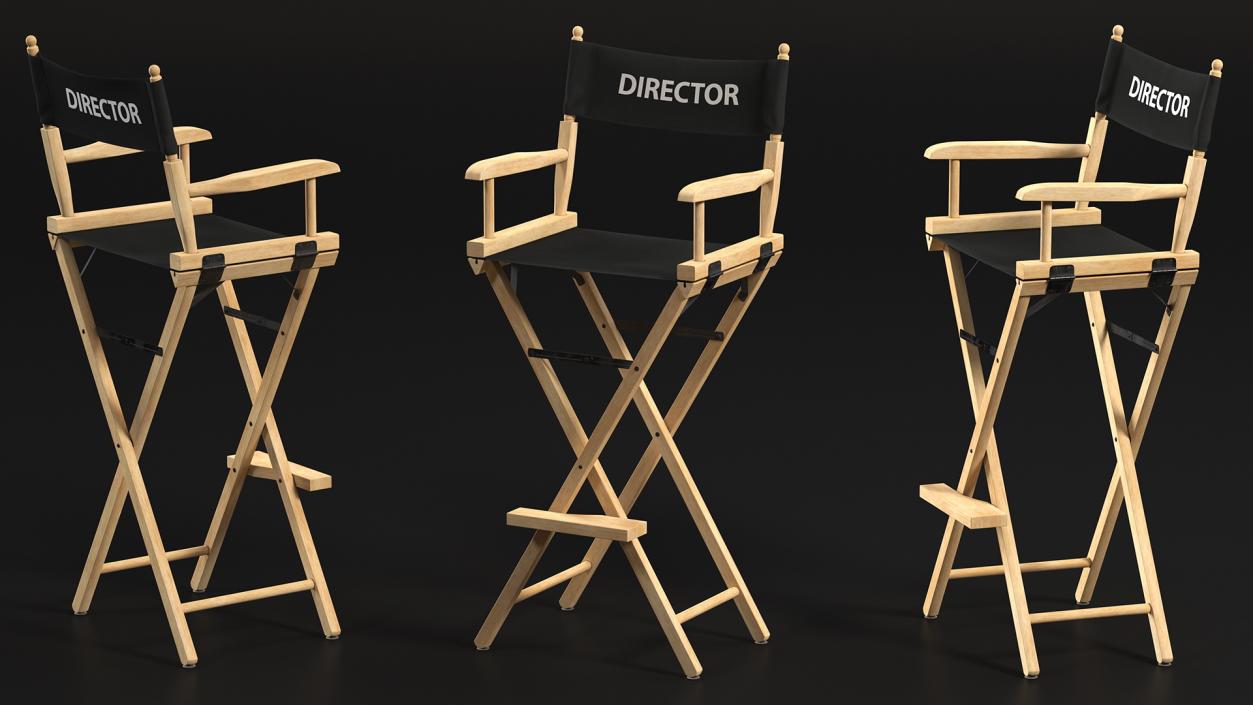 Tall Director Chair 3D model