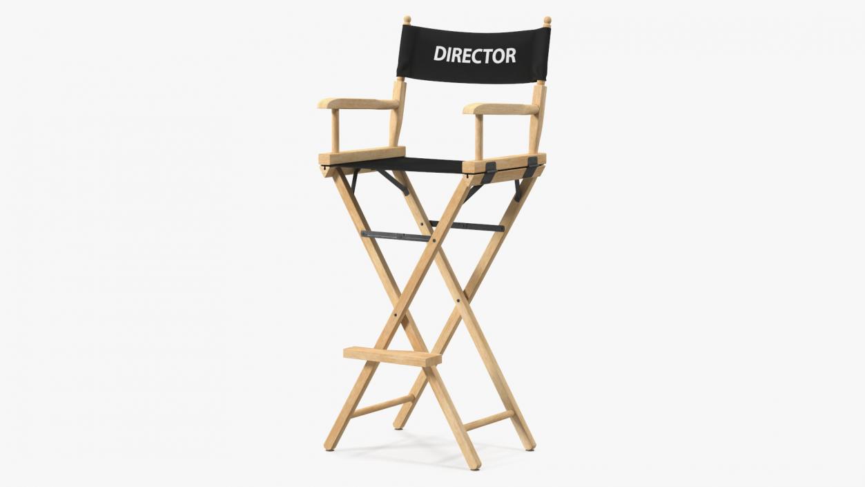 Tall Director Chair 3D model