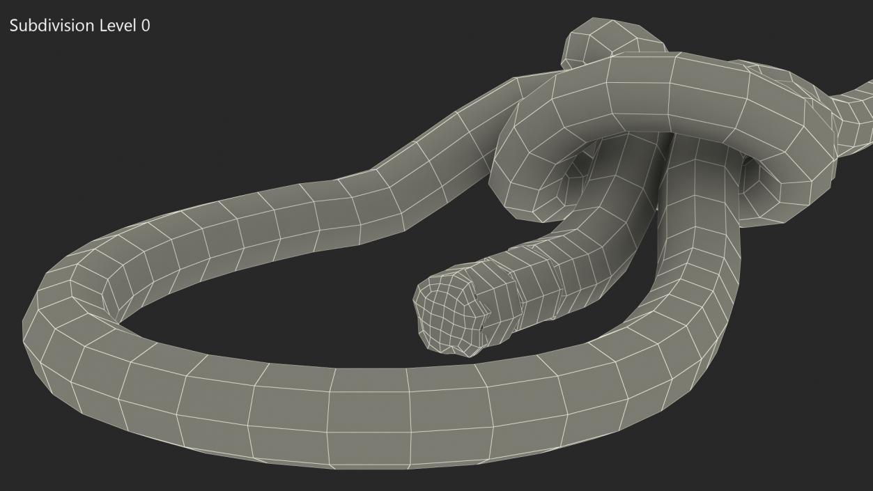 Bowline Knot 3D