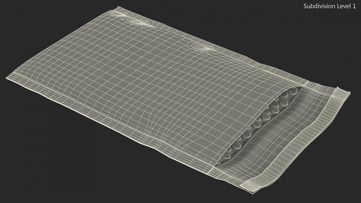 3D model Kraft Paper Bubble Mailer Open