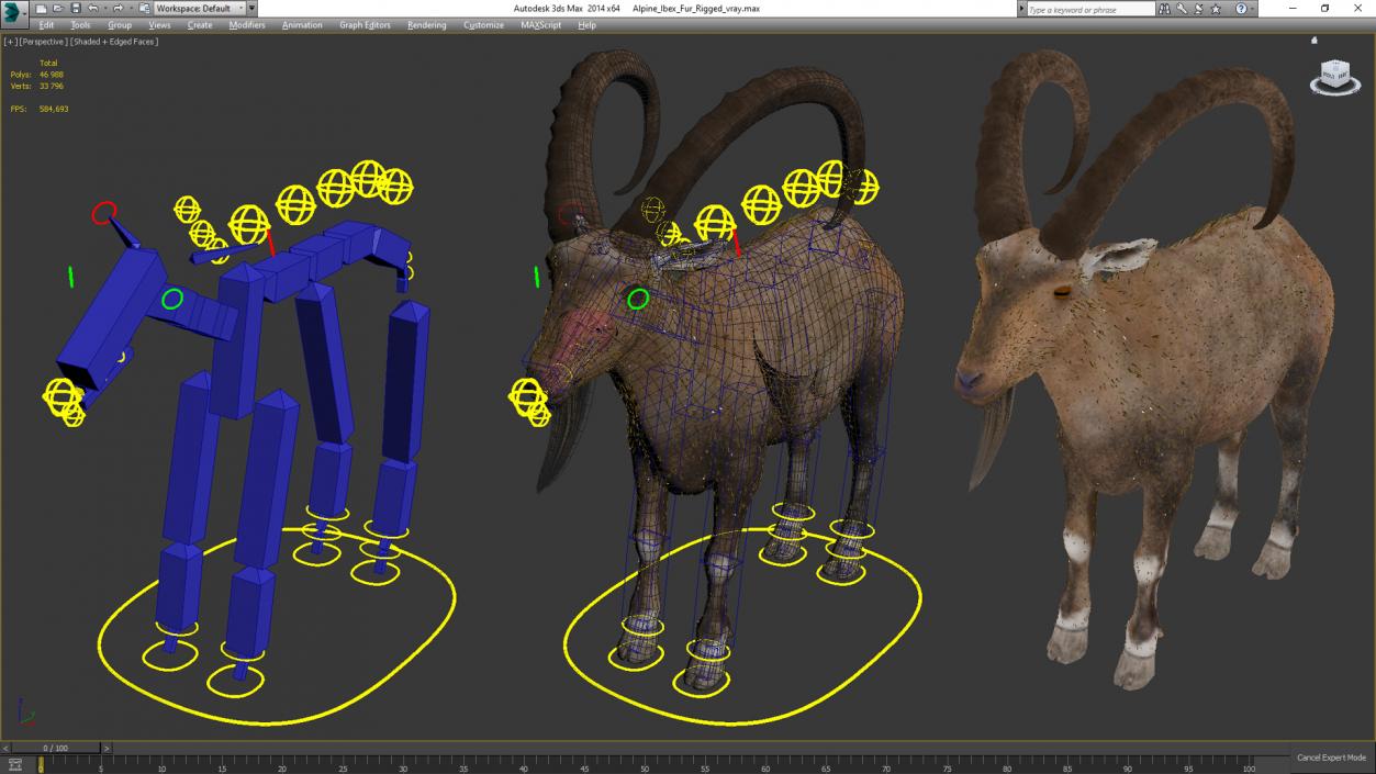 Alpine Ibex Fur Rigged 2 3D model