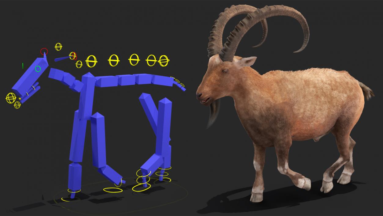 Alpine Ibex Fur Rigged 2 3D model