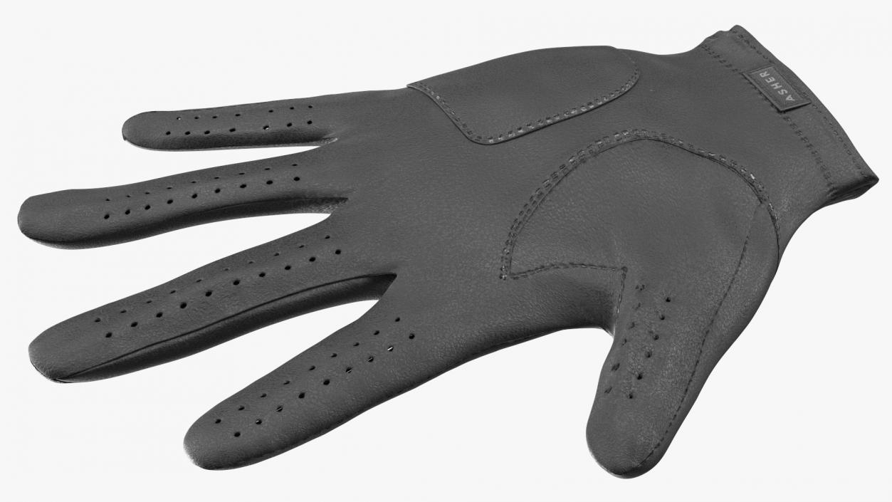 Lying Black Asher Premium Golf Gloves 3D