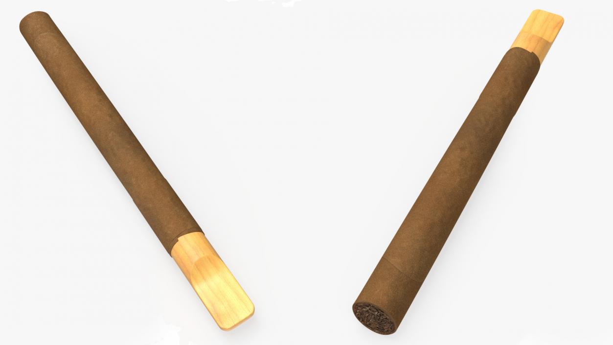 3D Cigar with Wooden Tip