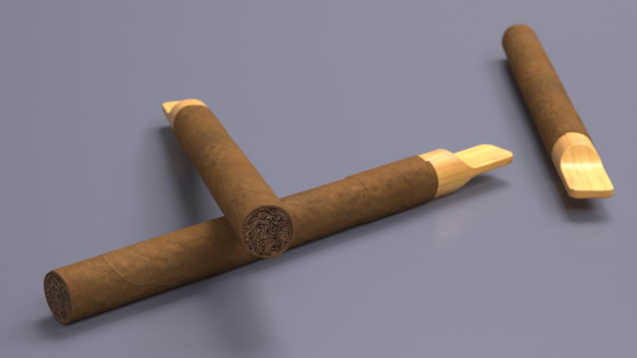 3D Cigar with Wooden Tip