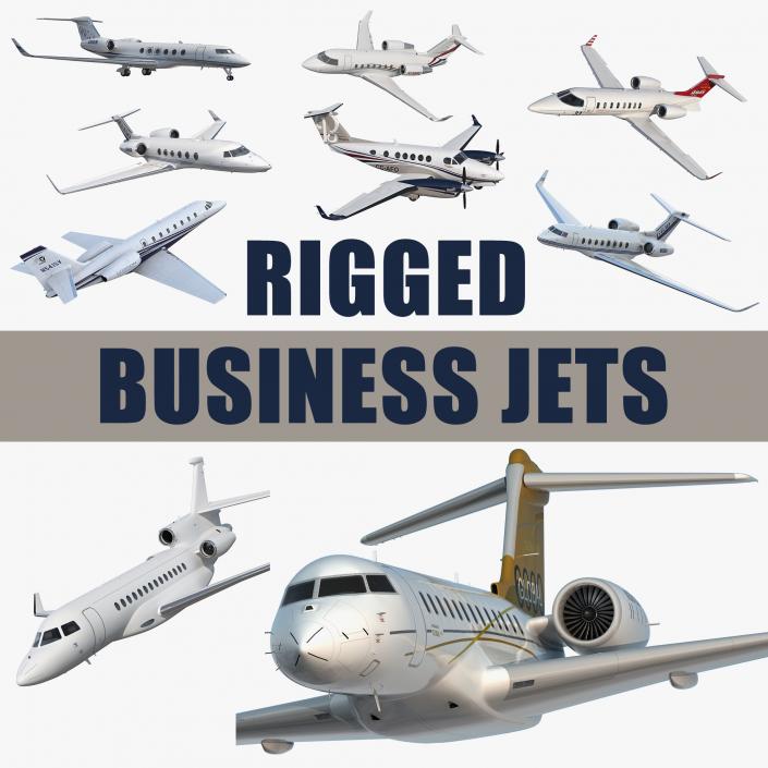 3D Rigged Business Jets Collection 3 model