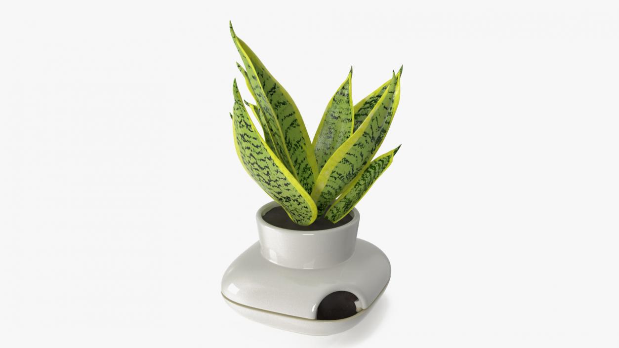 3D model Sagaform Single Herb Pot White