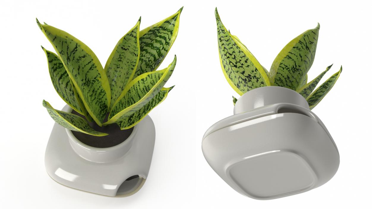 3D model Sagaform Single Herb Pot White