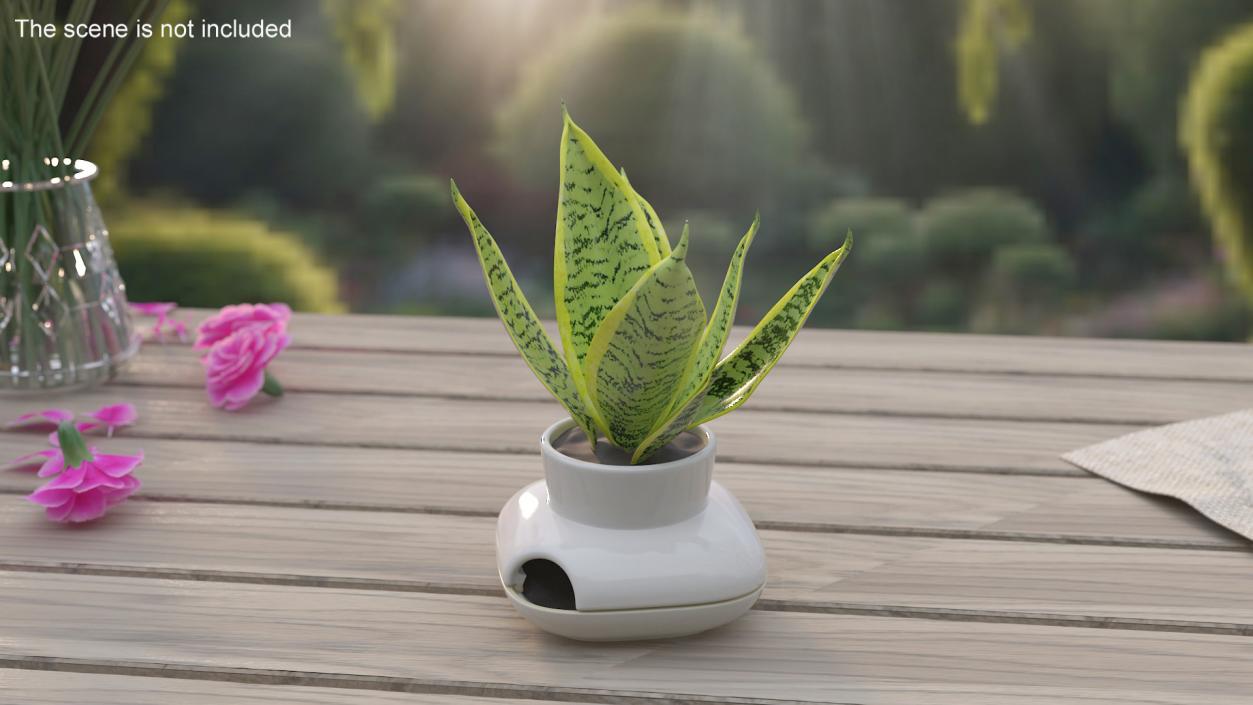 3D model Sagaform Single Herb Pot White