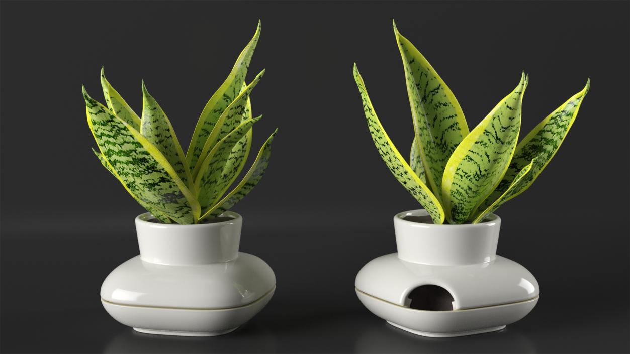 3D model Sagaform Single Herb Pot White