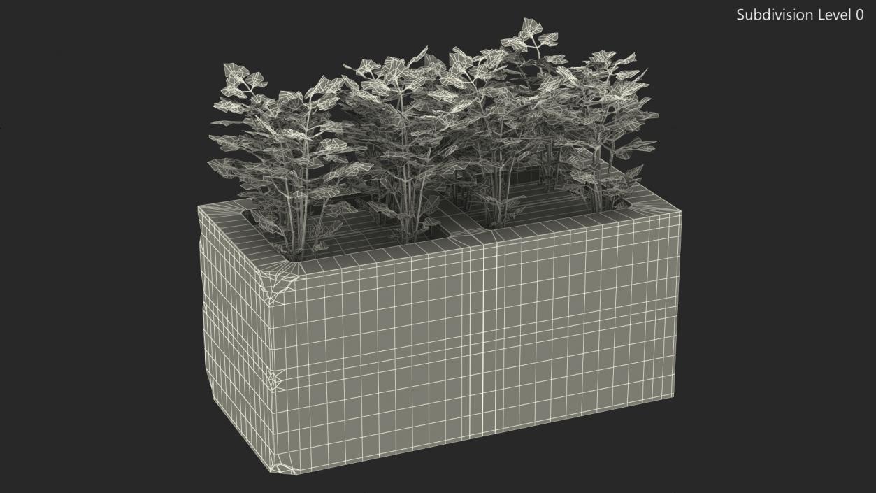 Cinder Block Garden with Parsley 3D