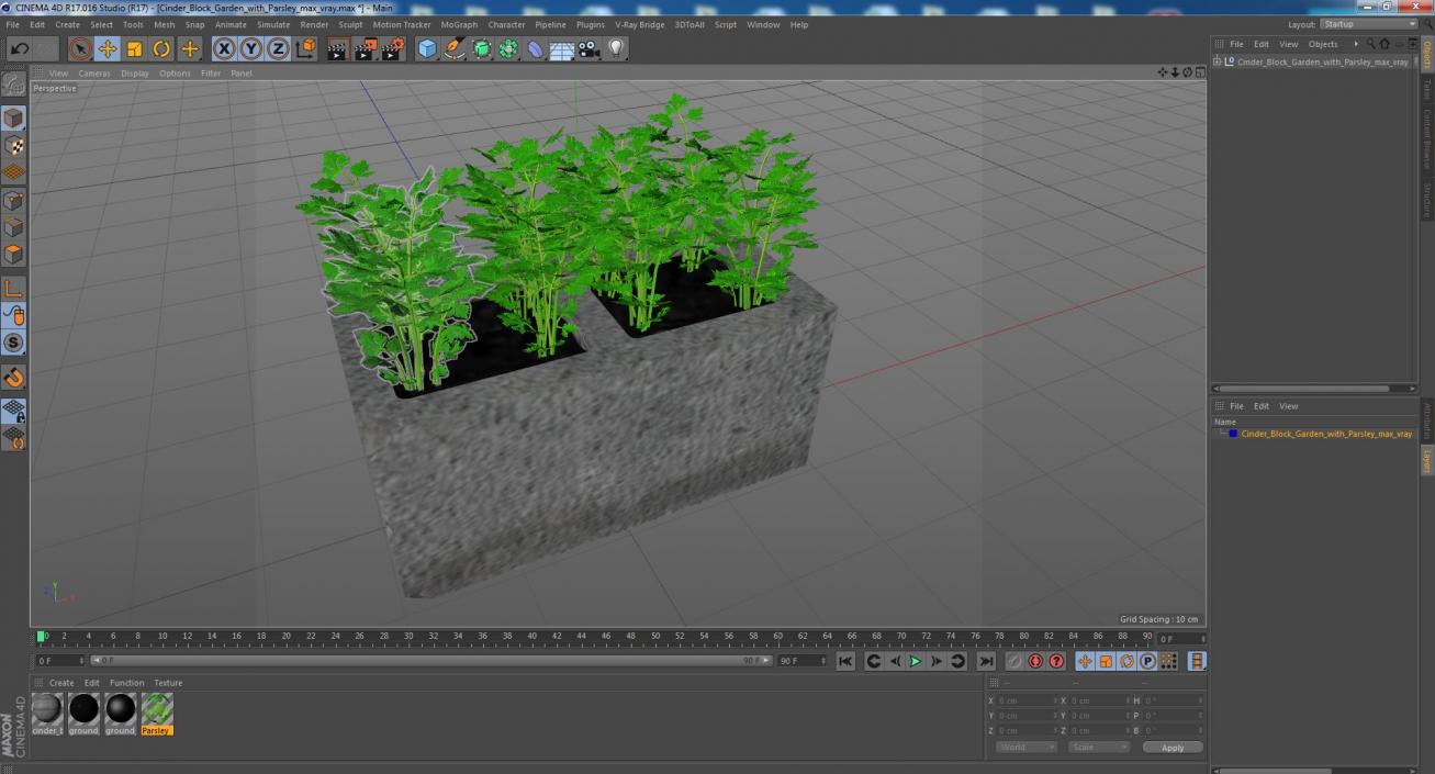 Cinder Block Garden with Parsley 3D