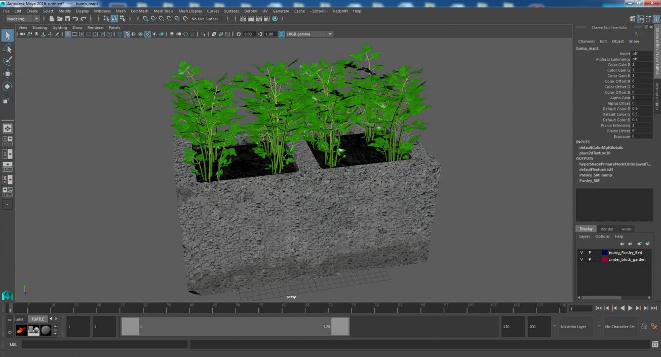 Cinder Block Garden with Parsley 3D