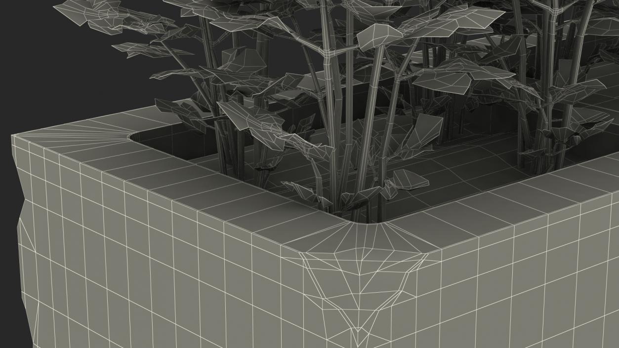 Cinder Block Garden with Parsley 3D