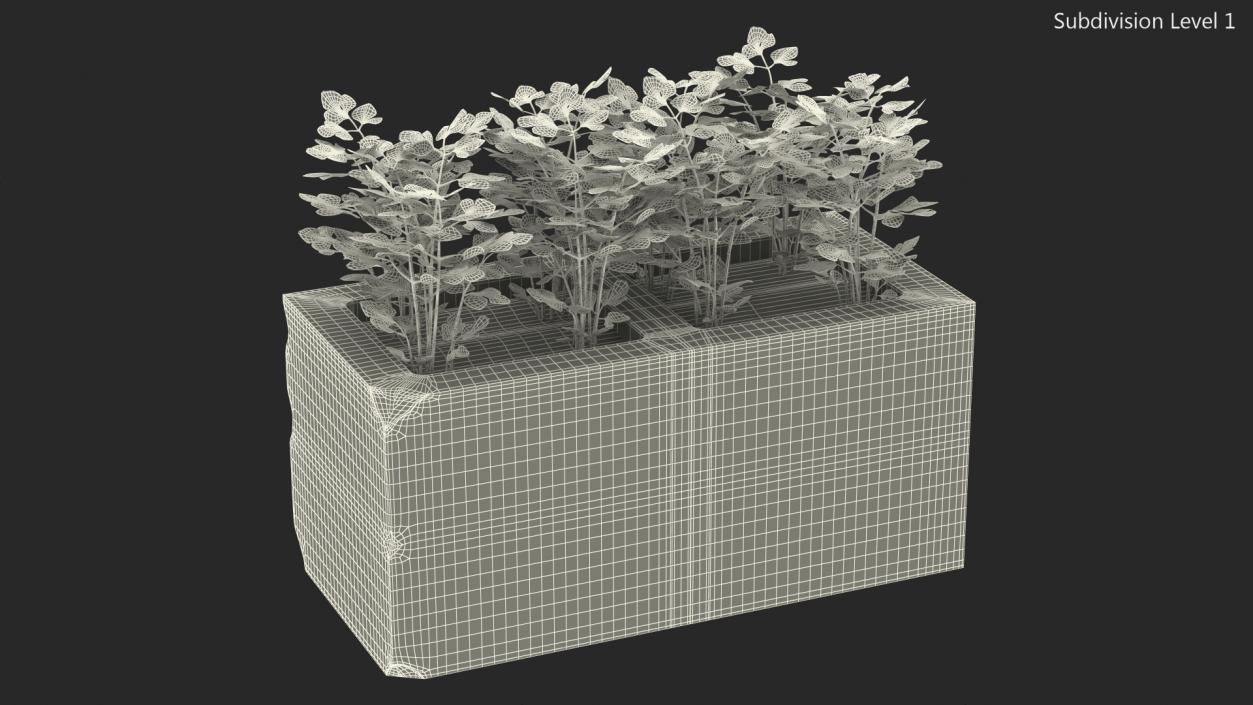 Cinder Block Garden with Parsley 3D