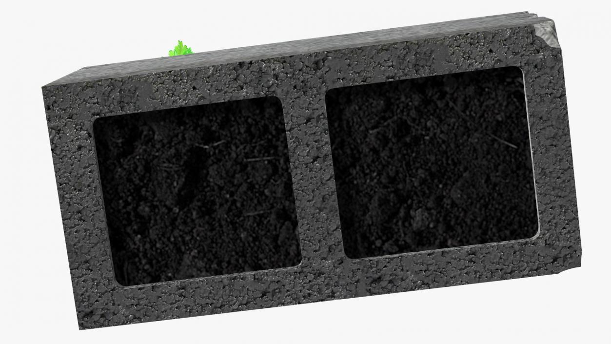 Cinder Block Garden with Parsley 3D