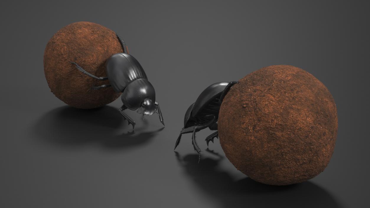 Mud Beetle Pushing Sphere Fur 3D model