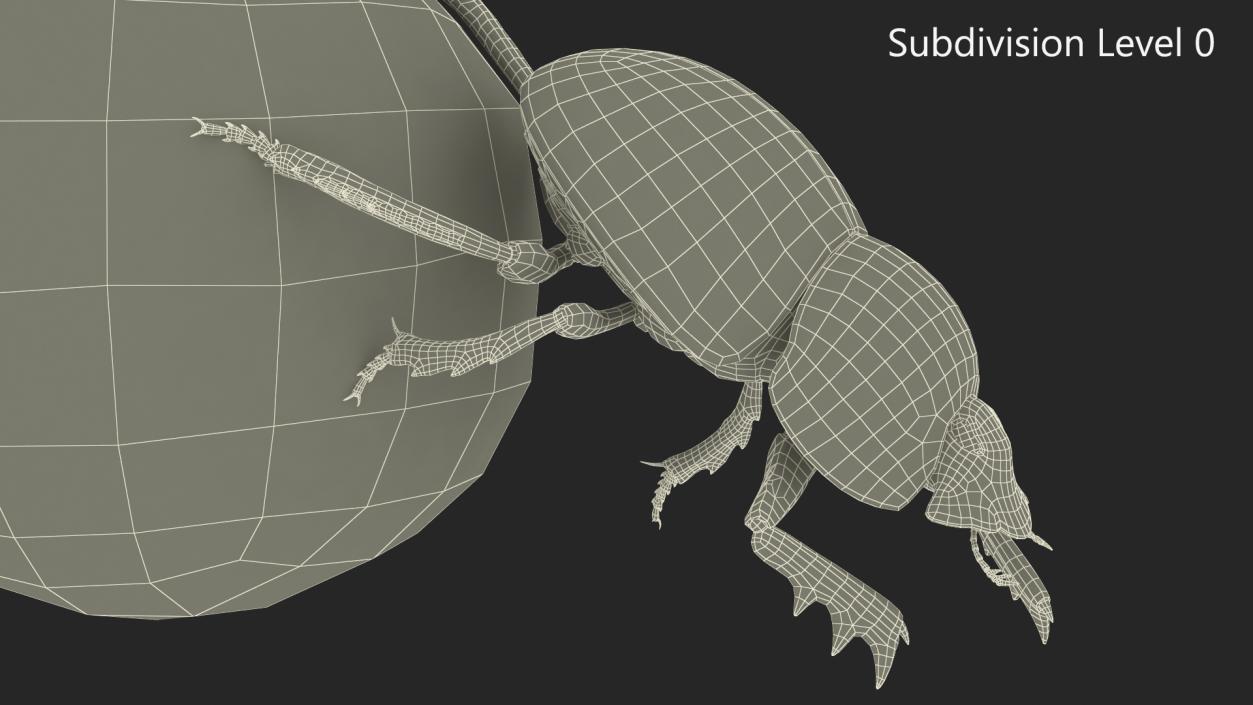 Mud Beetle Pushing Sphere Fur 3D model