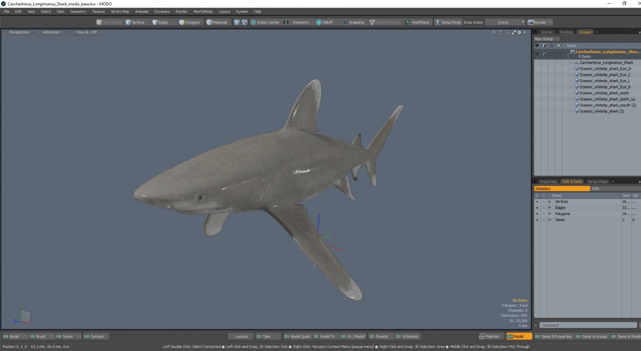 Carcharhinus Longimanus Shark 3D model