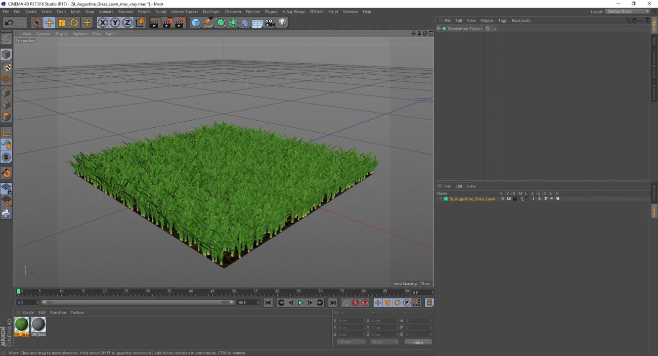 3D St Augustine Grass Lawn model