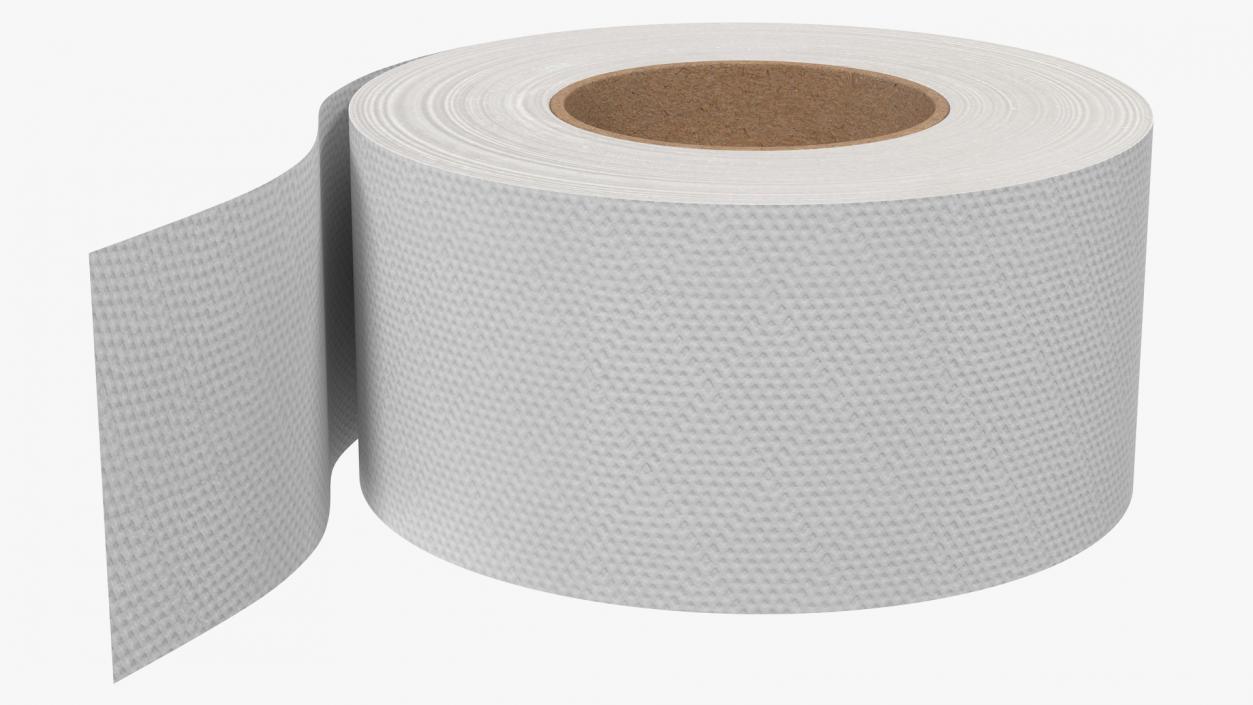 Jumbo Roll Toilet Tissue 3D model