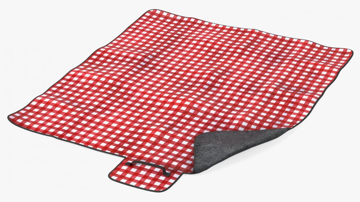 Outdoor Picnic Blanket 3D