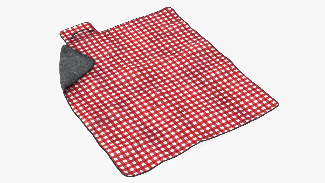 Outdoor Picnic Blanket 3D