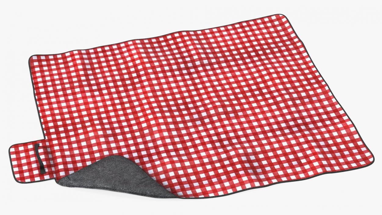 Outdoor Picnic Blanket 3D