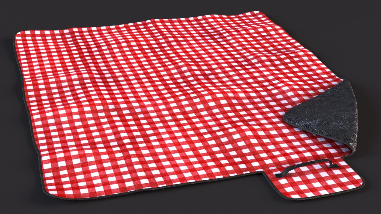 Outdoor Picnic Blanket 3D