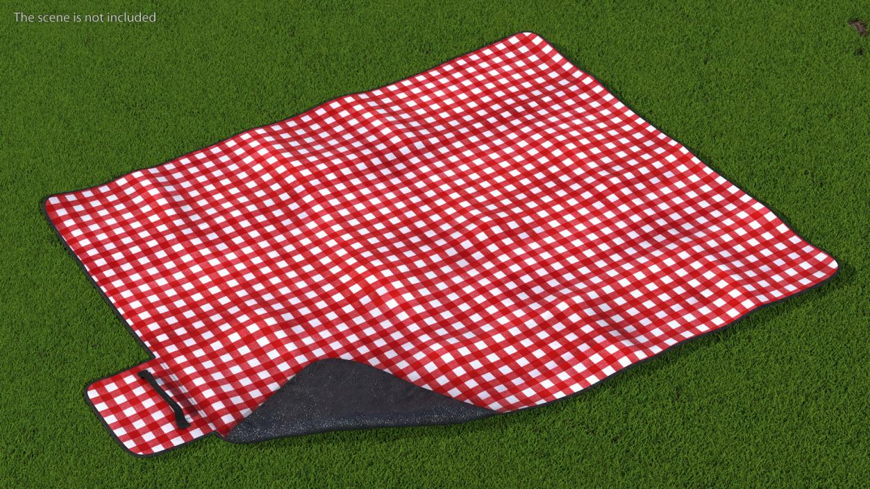 Outdoor Picnic Blanket 3D