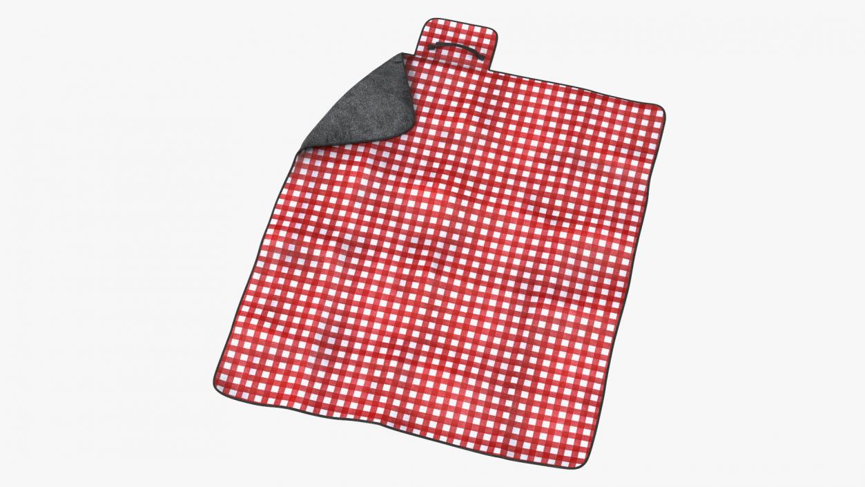 Outdoor Picnic Blanket 3D