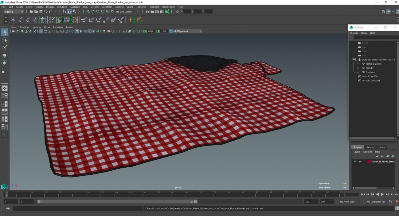 Outdoor Picnic Blanket 3D