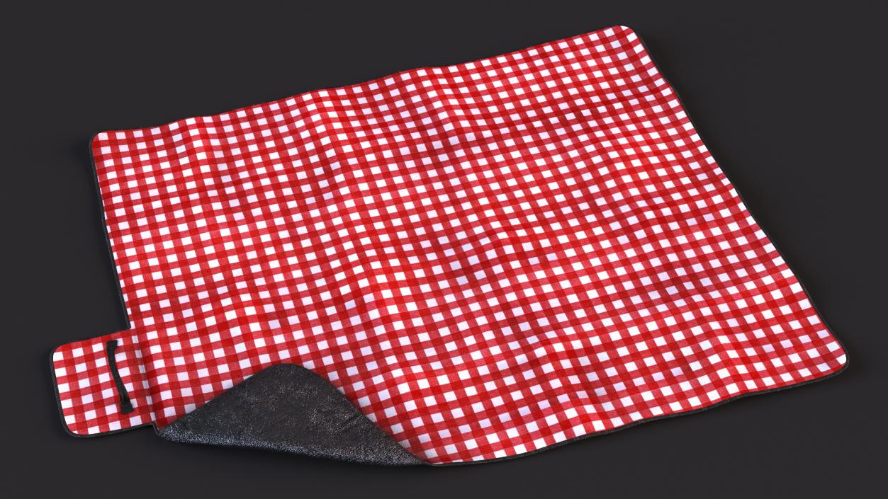 Outdoor Picnic Blanket 3D