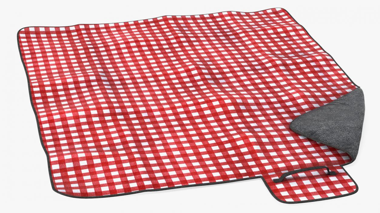 Outdoor Picnic Blanket 3D