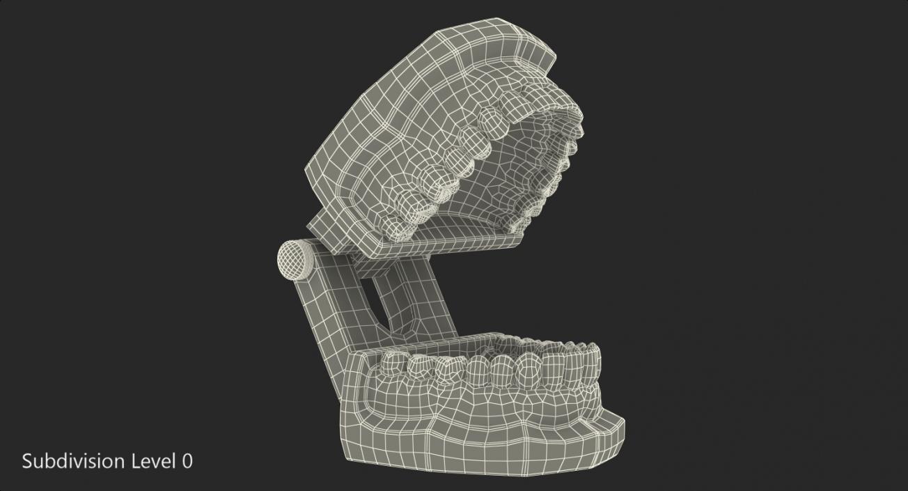 3D Transparent Dental Typodont With Dental Implants model