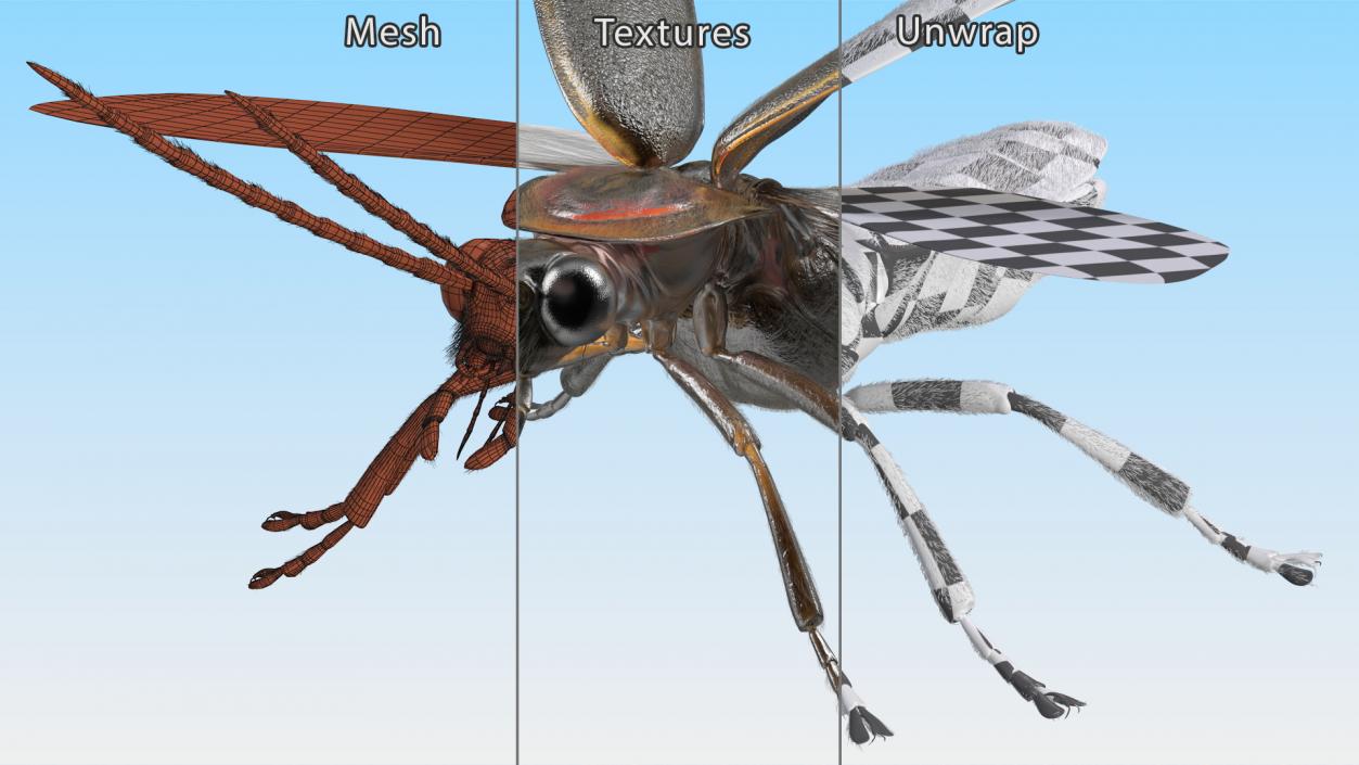 3D Photinus Pyralis Basic Pose Fur