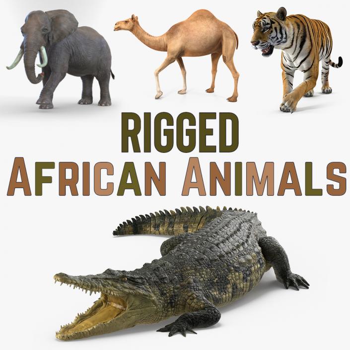 3D Rigged African Animals 3D Models Collection model