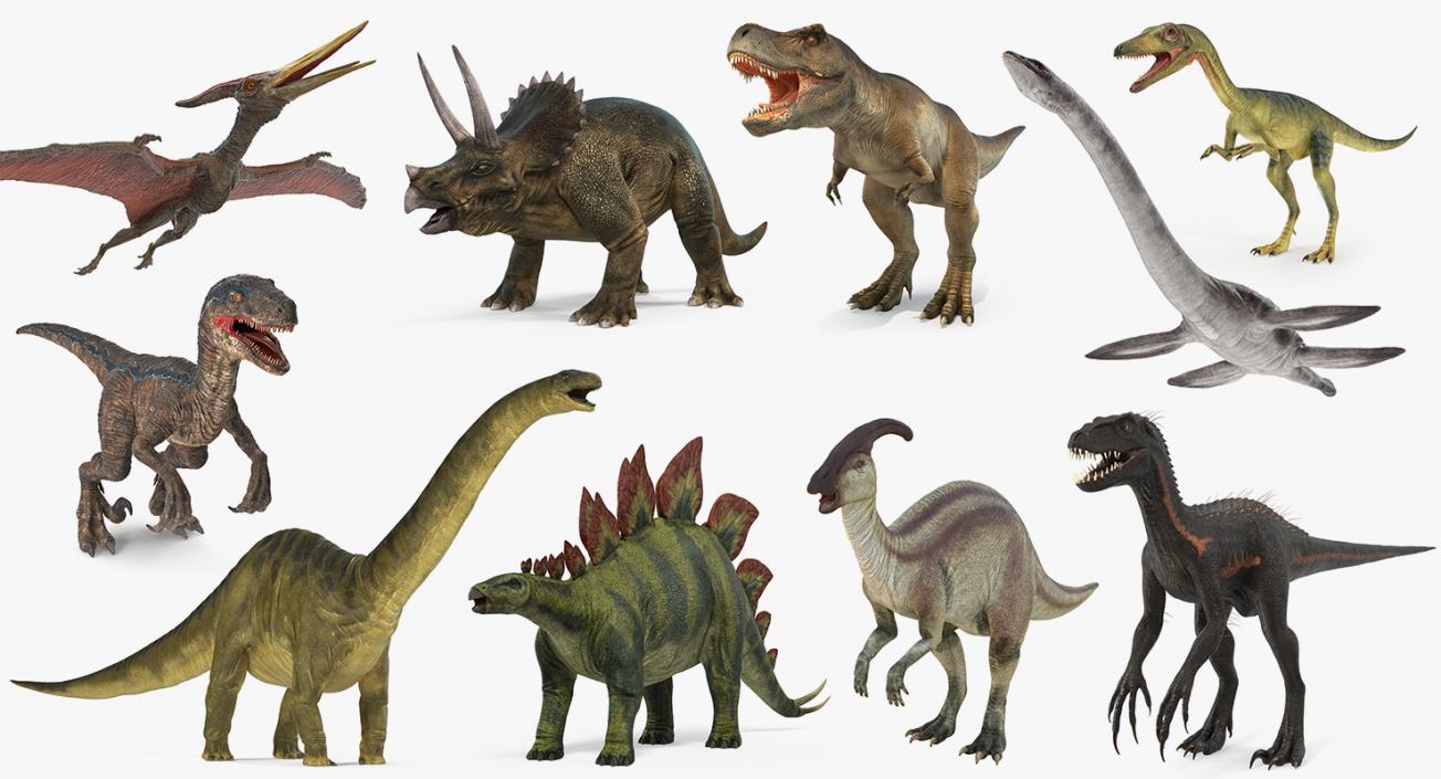 Dinosaurs Collection 5 3D