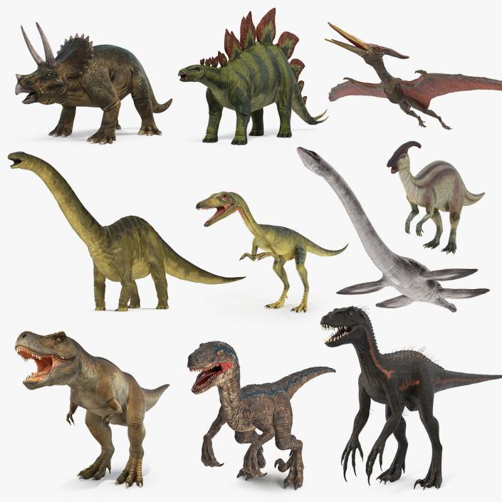 Dinosaurs Collection 5 3D