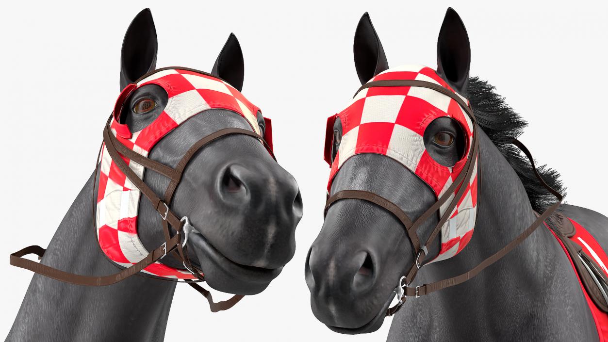 Running Racing Horse Fur 3D model