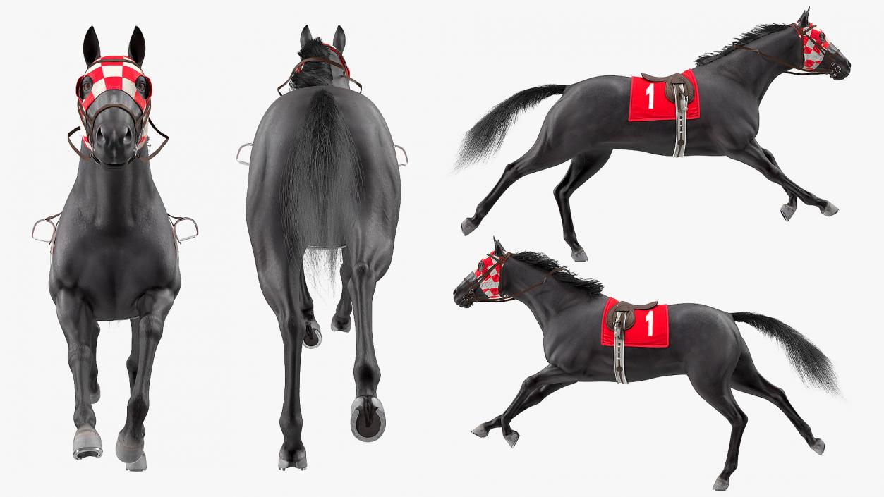 Running Racing Horse Fur 3D model