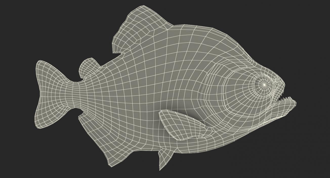 Piranha 3D model